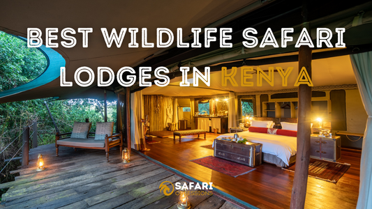 10 of the Best Wildlife Safari Lodges in Kenya (2024)