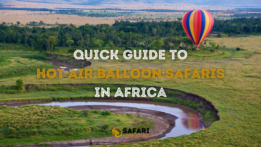 A Quick Guide To Hot Air Balloon Safaris In Africa