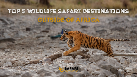 Beyond Africa: Top 5 Wildlife Safari Destinations Outside Of Africa
