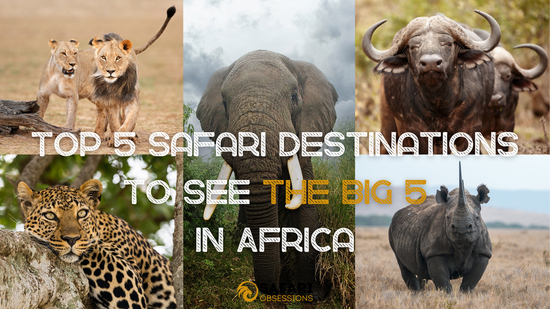 Top 5 Safari Destinations To See The Big 5 In Africa