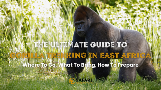 The Ultimate Guide To Gorilla Trekking Tours In East Africa: Where To Go, What To Bring, How To Prepare